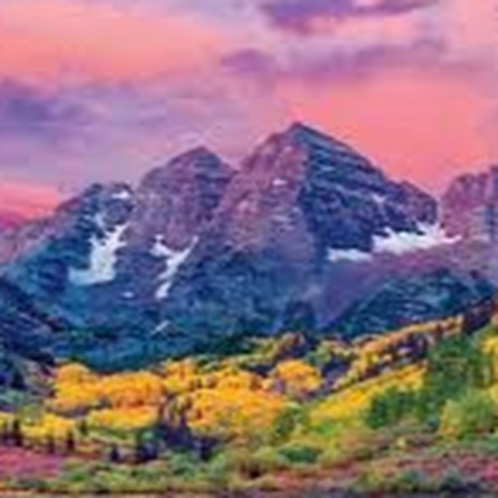 Meet your Posher, Natasha